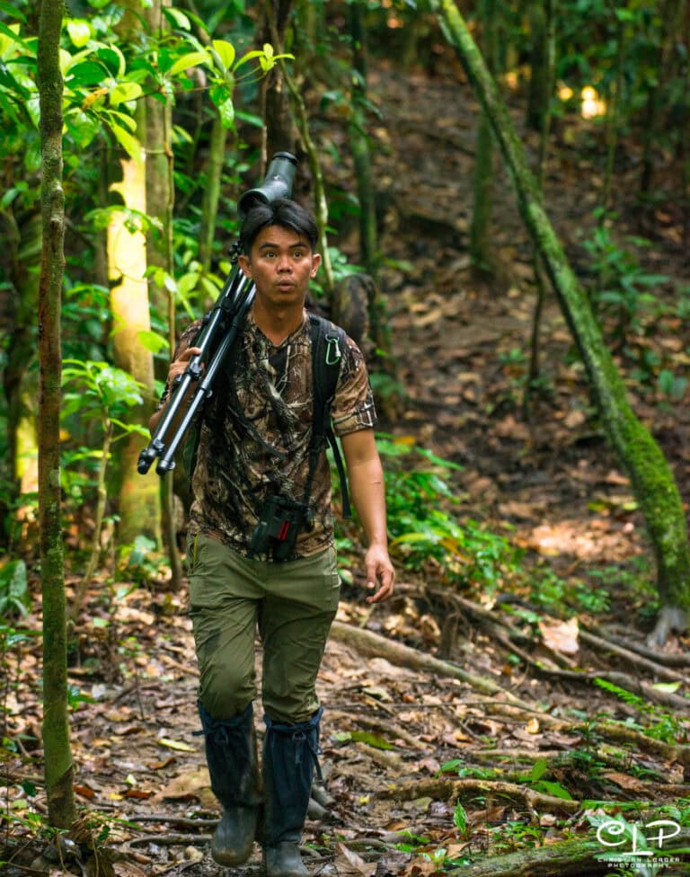 Danum Valley Field Centre and surrounding rainforest, Sabah