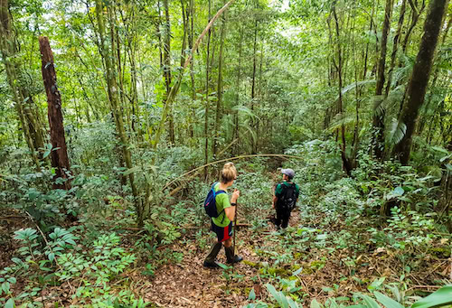 Hiking the trails around Kiau in the Mount Kinabalu foothills, Sabah
