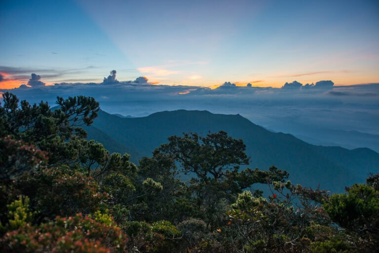 Mount Trus Madi, Sabah