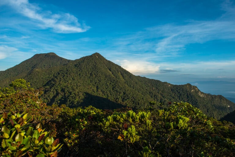 Mount Trus Madi, Sabah