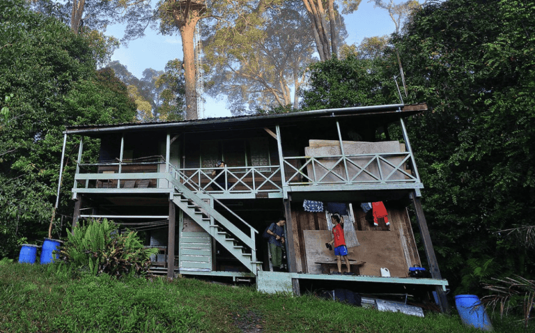 Nepenthes Camp exterior