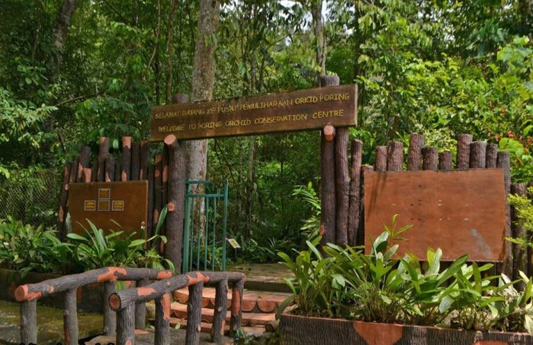 Orchid conservation centre at Poring Hot Springs