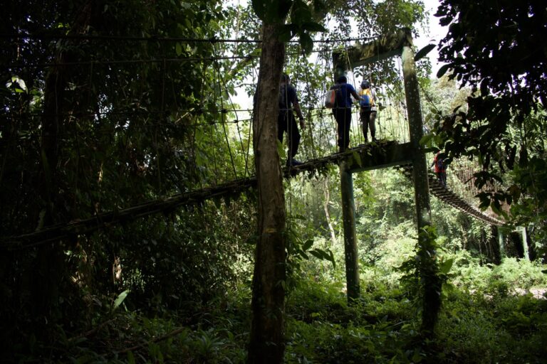 Trail to Camp 5 at Gunung Mulu National Park, Sarawak