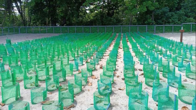 Turtle egg hatchery at Selingan Island