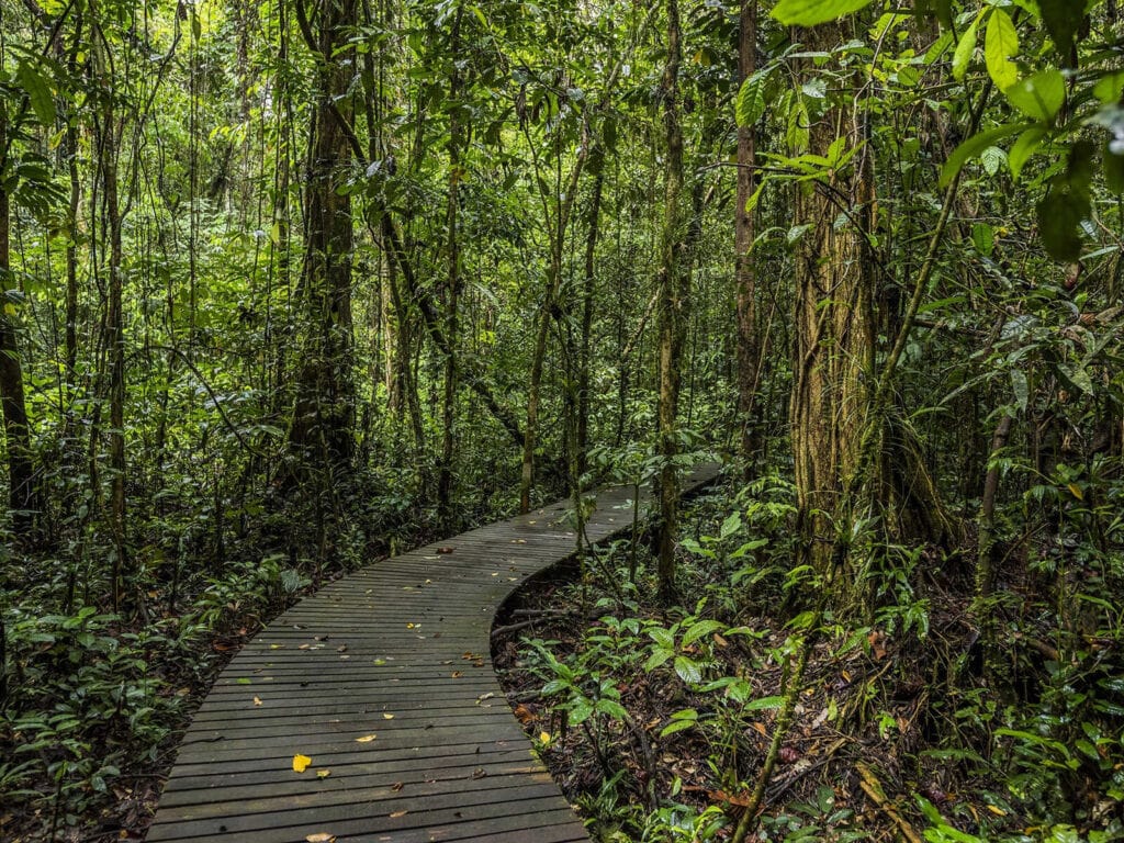 Gunung Mulu National Park, Sarawak