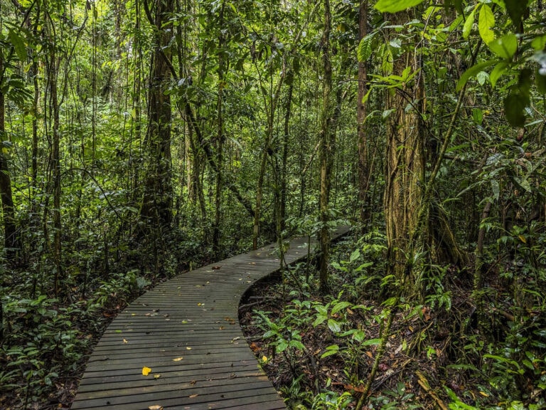 Gunung Mulu National Park, Sarawak