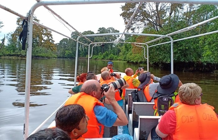 Proboscis monkey river cruise near Kota Kinabalu, Sabah