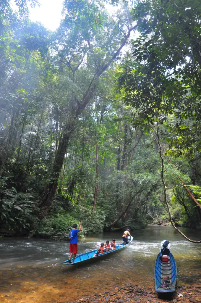 Batang Ai Lubok Kasai lalang river