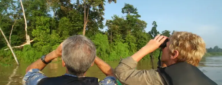 Birdwatching by boat at Sukau on the Kinabatangan River, Sabah