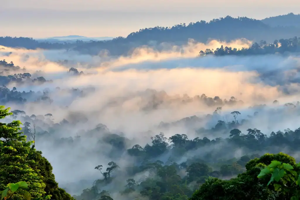 Danum Borneo Rainforest Lodge view