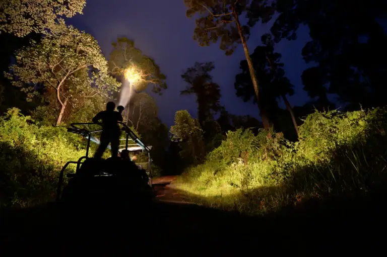 Night drive spotlighting wildlife at Borneo Rainforest Lodge, Danum Valley