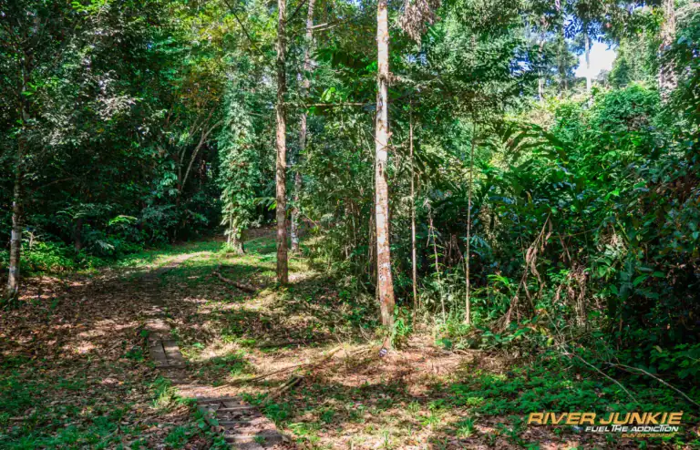 Danum Valley