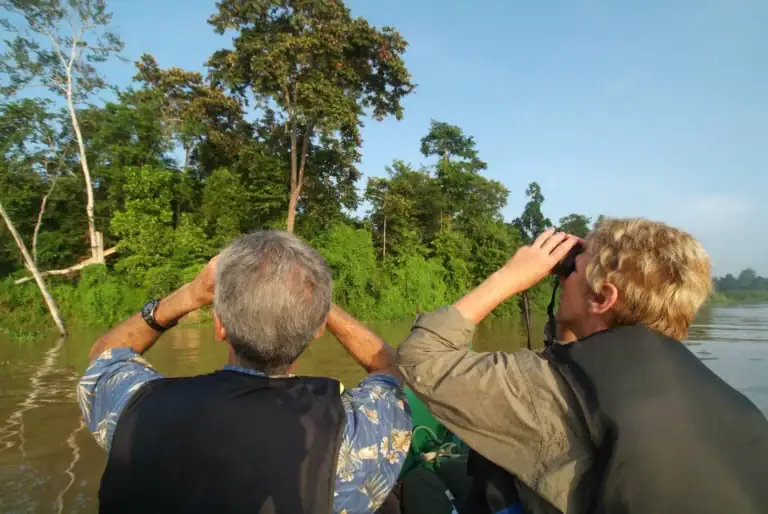 Kinabatangan bird watching at Sukau Rainforest Lodge