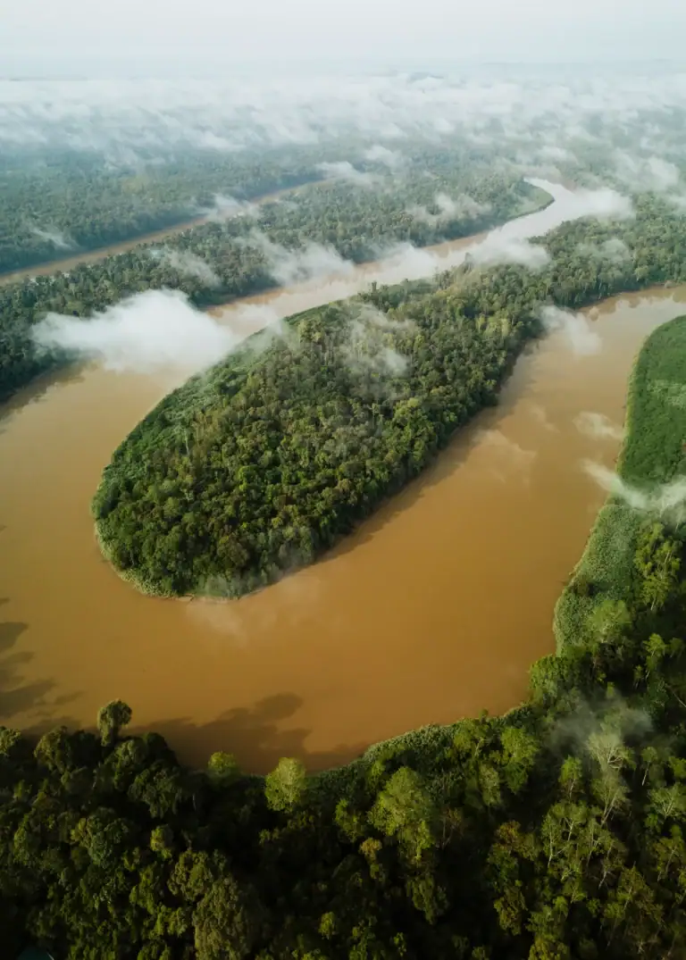 Hornbill Lodge on the Kinabatangan River, Sabah
