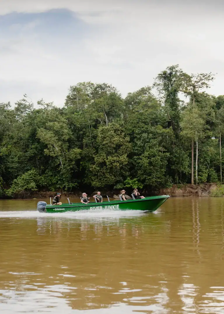 Kinabatangan River boat