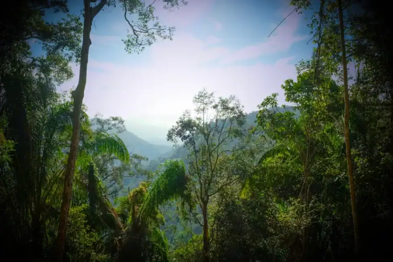 Maliau Basin