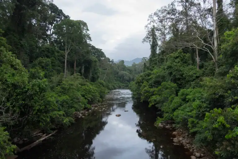 Maliau Basin