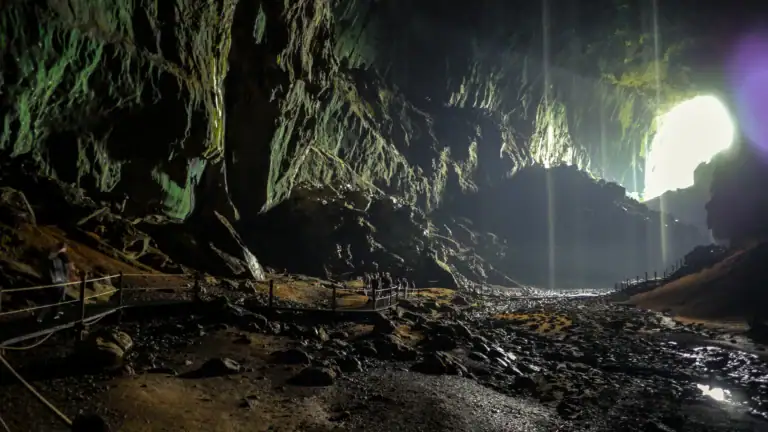 Mulu deer cave