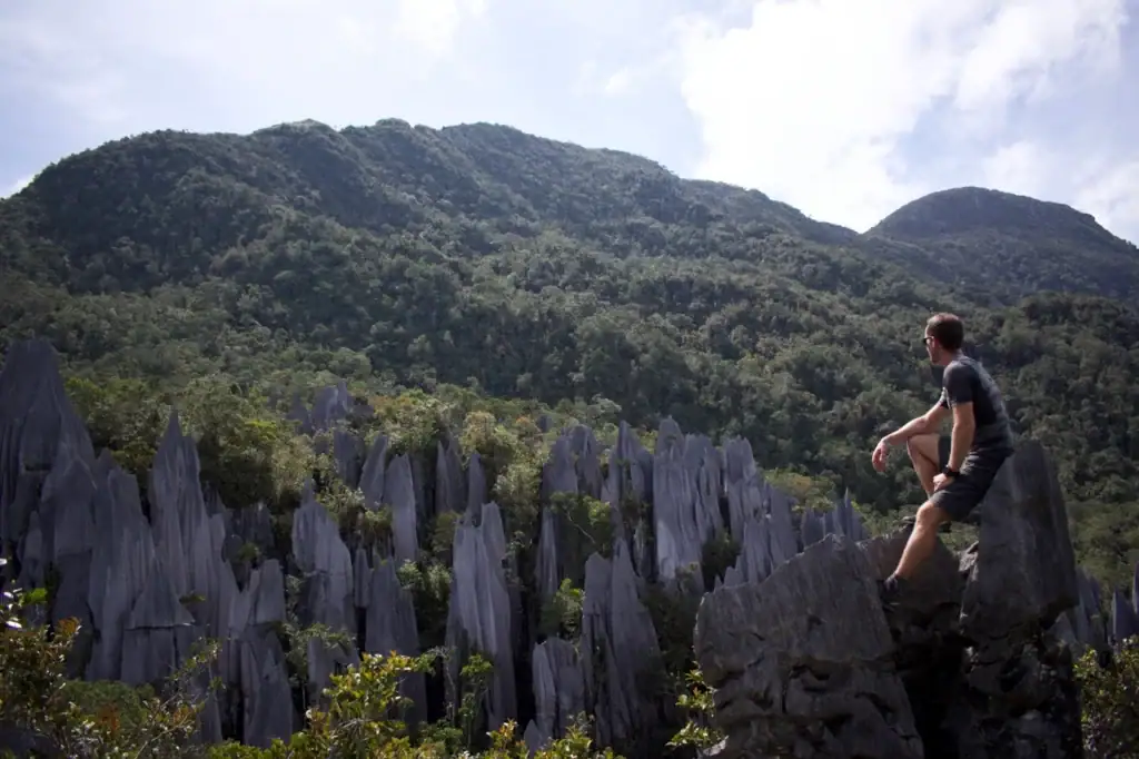 Mulu pinnacles view