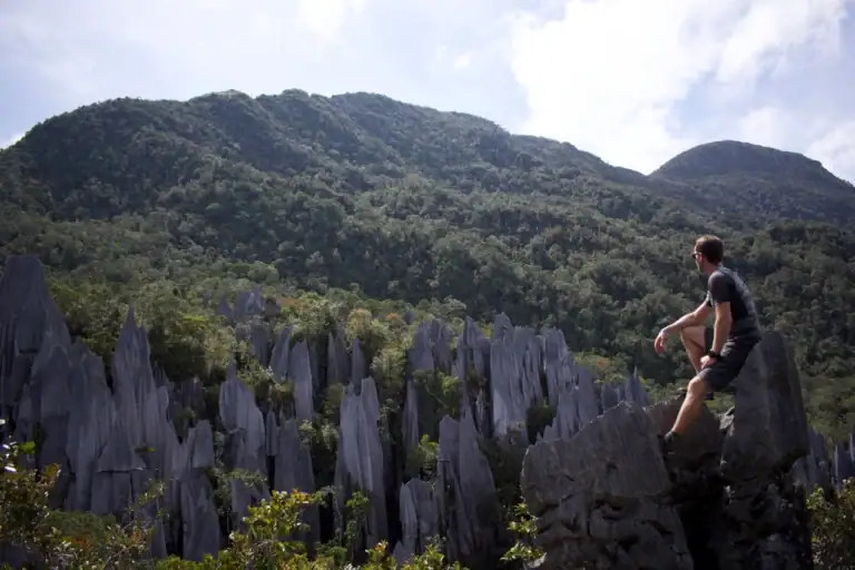Mulu pinnacles view