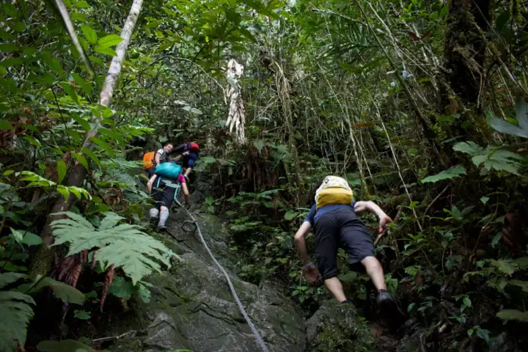 Mulu scramble to pinnacles