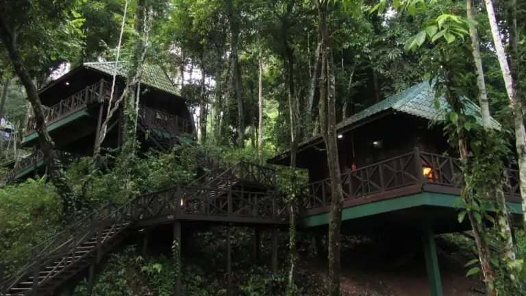 Tabin Hill Lodge