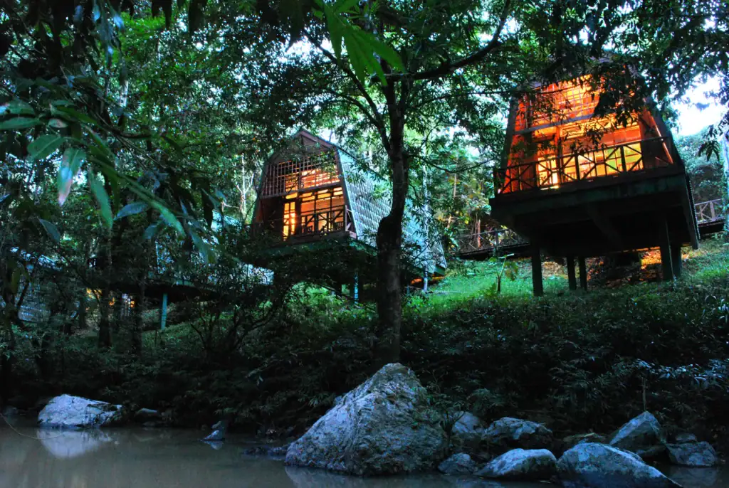River Lodge chalets at night, Tabin Wildlife Resort