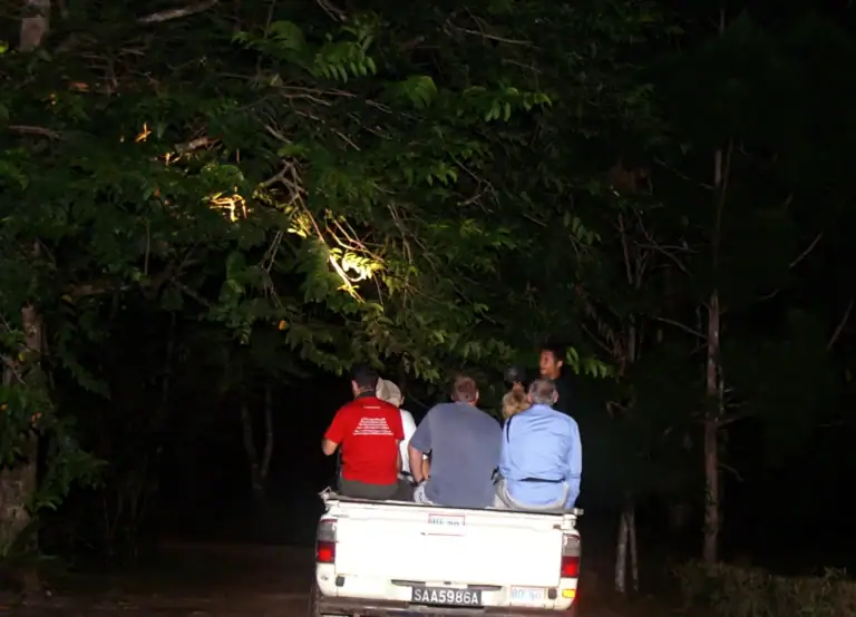 Night safari drive at Tabin Wildlife Reserve
