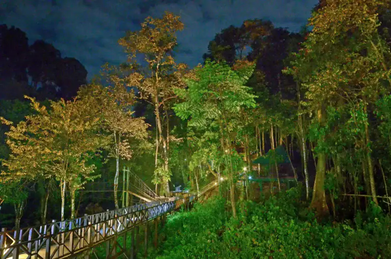 Boardwalk at Tabin Wildlife Resort lit up night