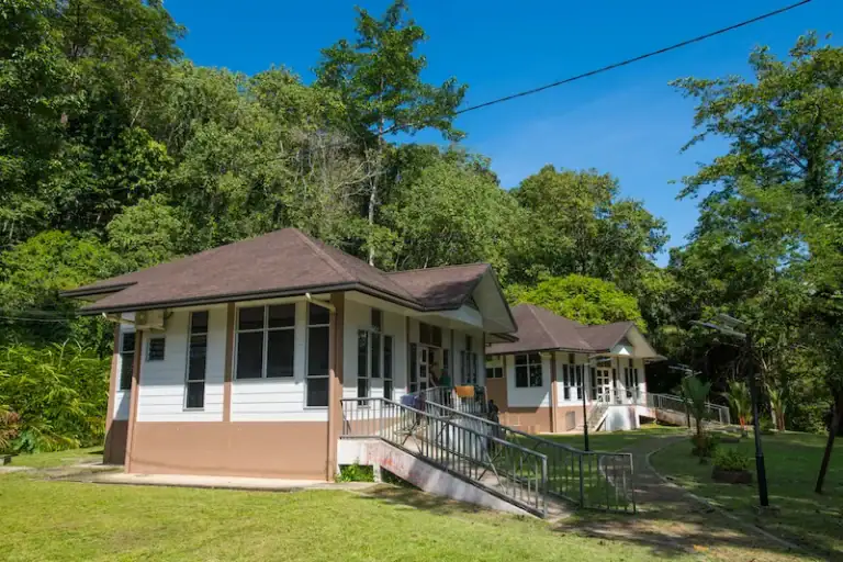 Chalet accommodation at Deramakot Forest Reserve