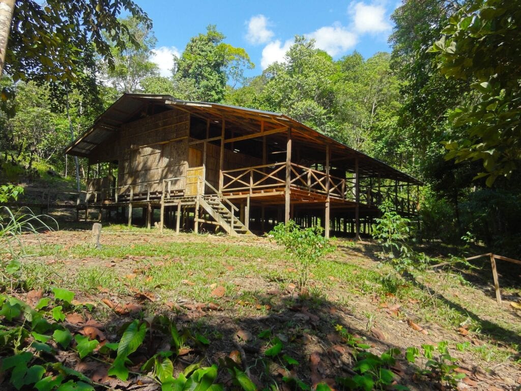 Lubok Kasai Jungle Camp