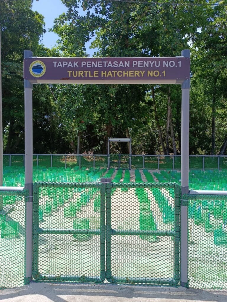 Turtle hatchery on Selingan Island