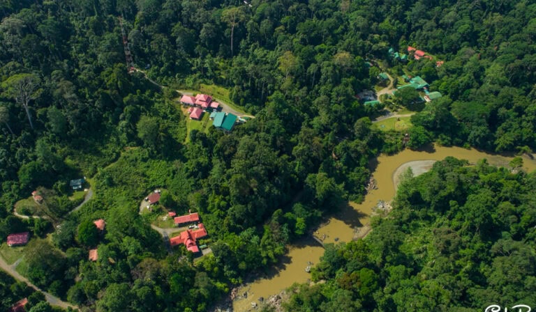Danum Valley Field Centre
