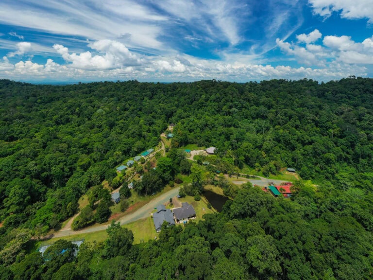 Deramakot Forest Reserve