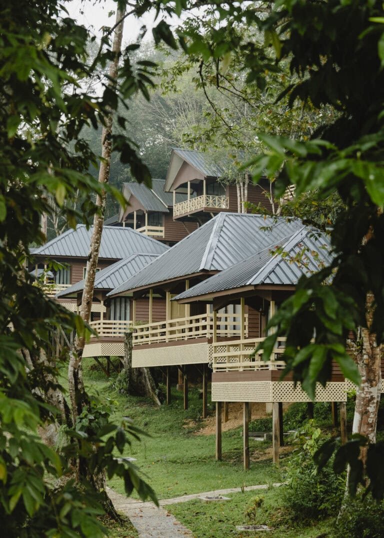 Hornbill Lodge