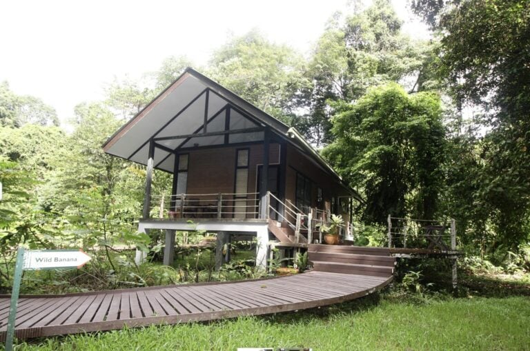 Mulu National Park