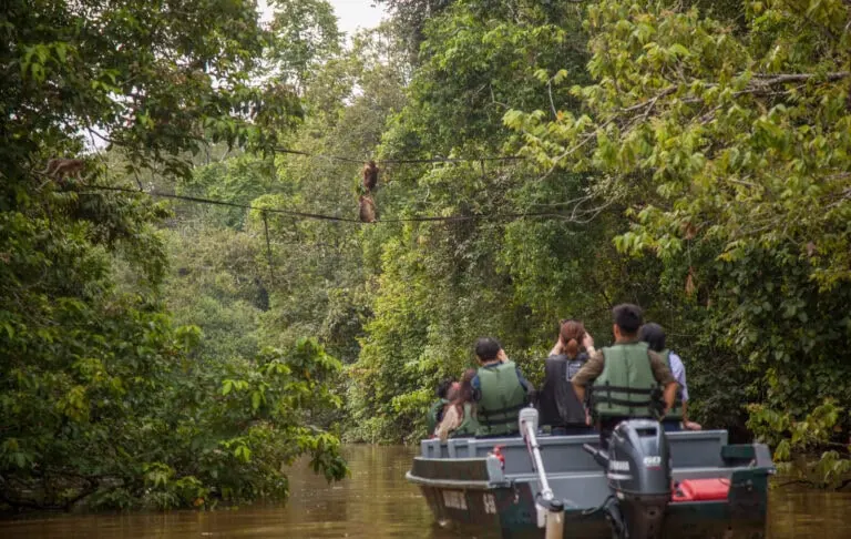 Sukau Rainforest Lodge