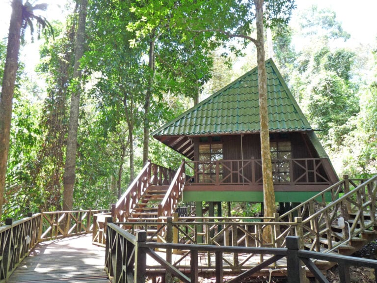 Tabin Wildlife Resort