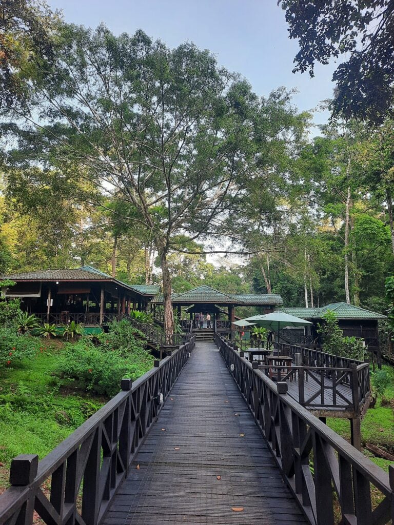 Tabin Wildlife Resort